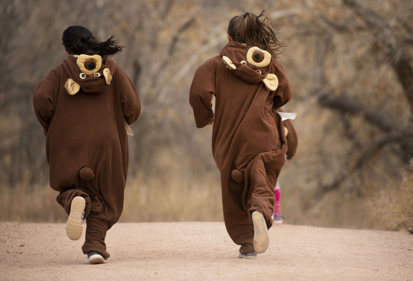111421-news-bearrun 16.jpg